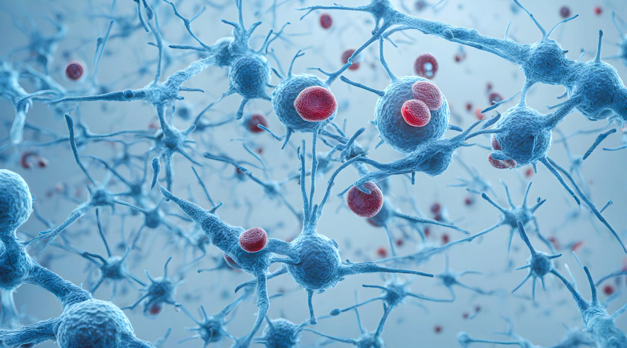 Microbiology & Immunology Services